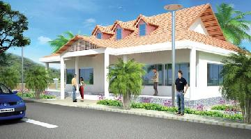 Ongoing Projects