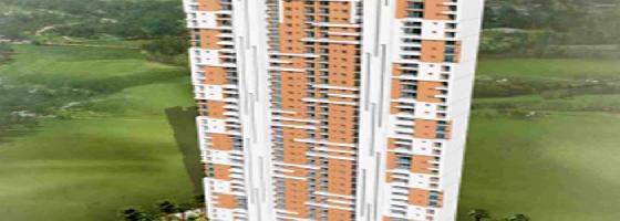 Ongoing Projects