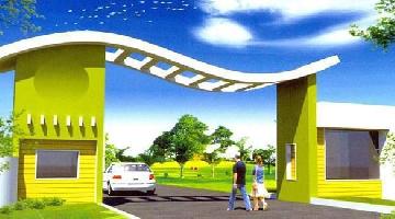 Ongoing Projects