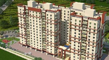 Ongoing Projects