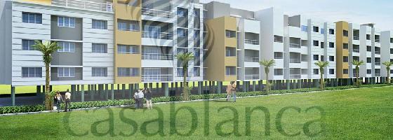 Ongoing Projects
