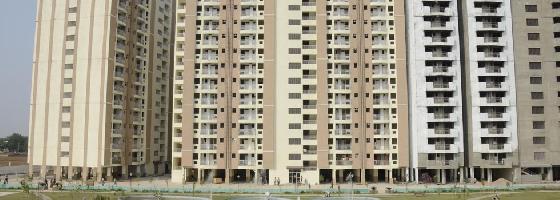 Trehan Status Residency