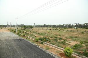 Ongoing Projects
