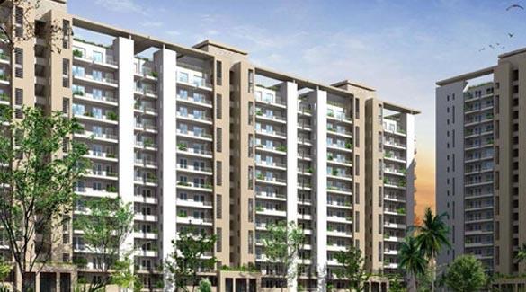 Project Mayfield Garden, Gurgaon - Residential Apartments