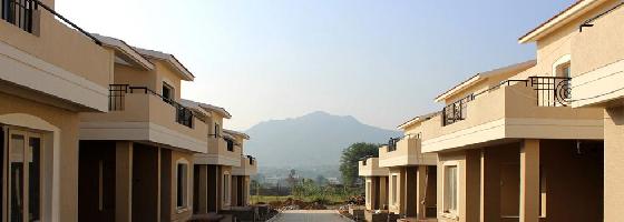Ongoing Projects