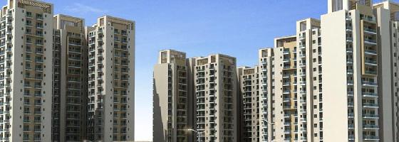 RTech Capital Greens