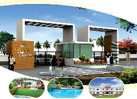 Ongoing Projects