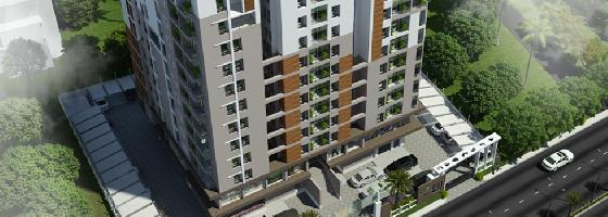 Ongoing Projects