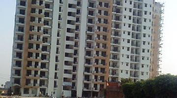Ongoing Projects