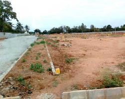 Ongoing Projects