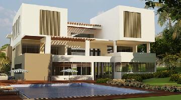 Ongoing Projects