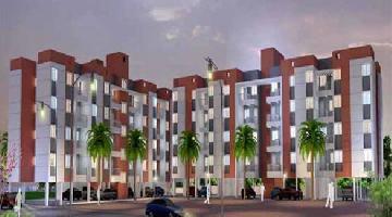 Ongoing Projects