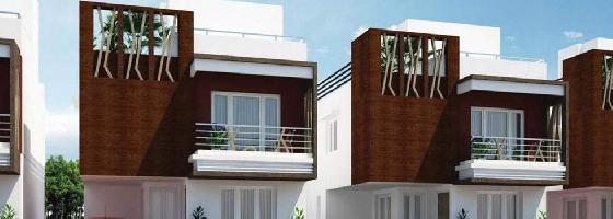 Ongoing Projects