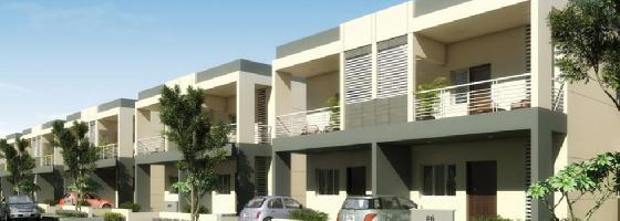 Ongoing Projects