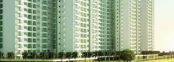 Godrej Palm Grove