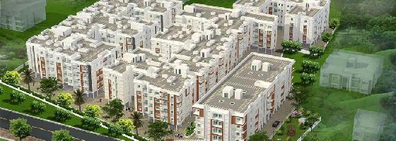 Ongoing Projects