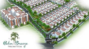 Ongoing Projects