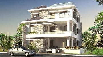 PALM RIDGE