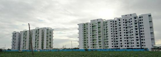 Ongoing Projects