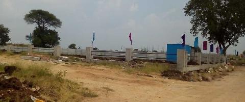 Ongoing Projects