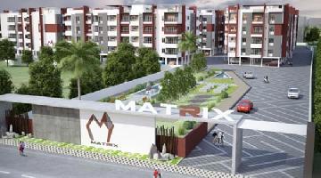 Ongoing Projects