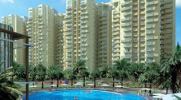 Ongoing Projects