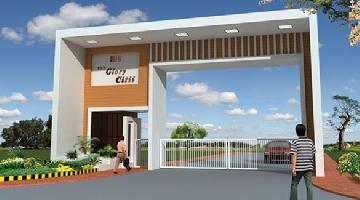 IBD The Glory Citii
