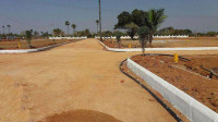 Ongoing Projects