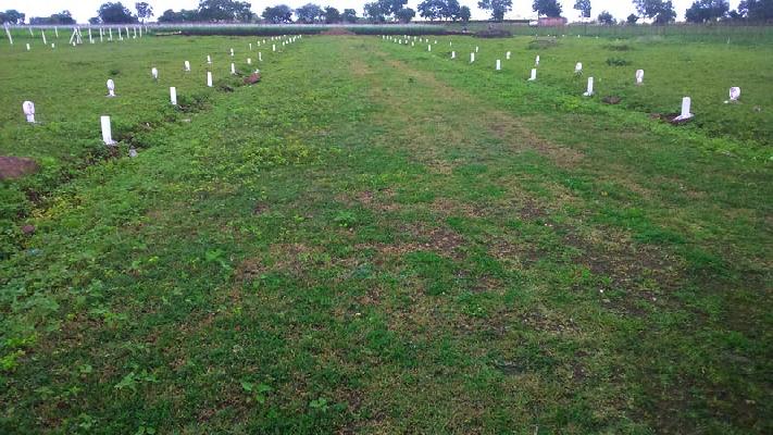 Airport House, Nashik - Residential Plot