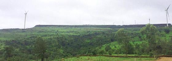 Fragrant Meadows