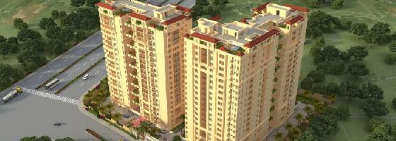 Ongoing Projects