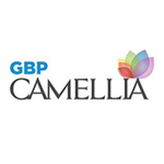 GBP Camellia