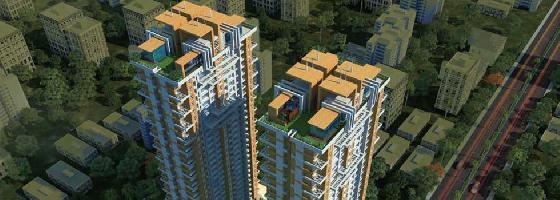 Ongoing Projects