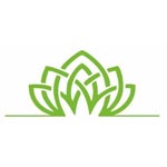 Aster Greens