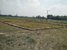 Ongoing Projects