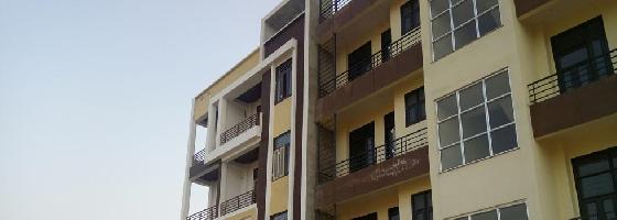 Ongoing Projects