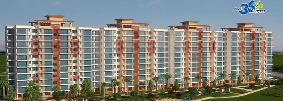 AVL 36 Gurgaon