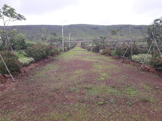 Mulberry Hills, Nashik - Residential Plots for sale