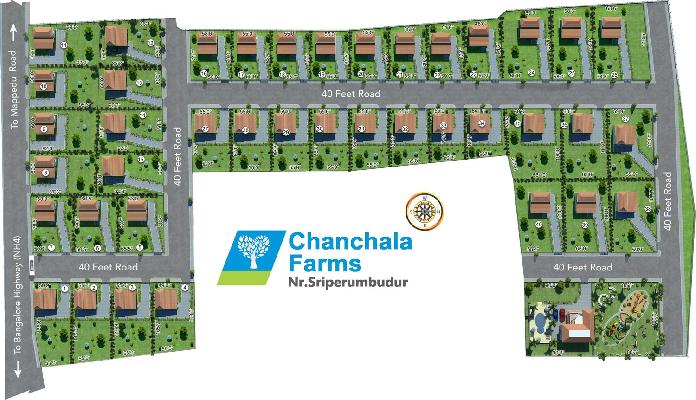Manju Chanchala Farms, Chennai - Manju Chanchala Farms