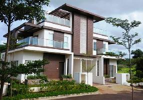 Ongoing Projects
