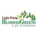 Logix Blossom Greens