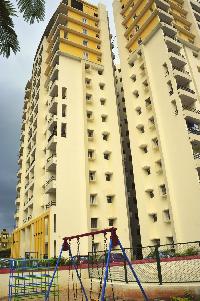 Sethna Power Tower