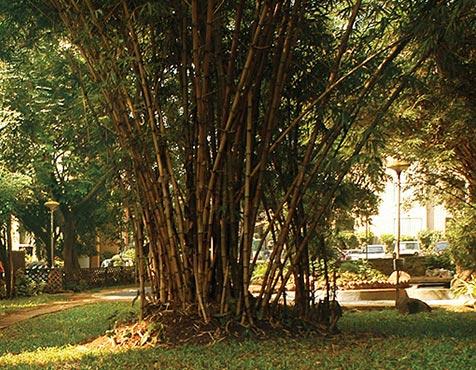 Godrej Edenwoods, Thane - Godrej Edenwoods