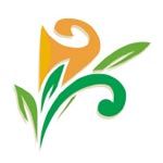 Prakruthi Orchids