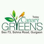 Today Canary Greens