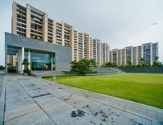 Tulip Violet, Gurgaon - 3/4 BHK Blissful Homes