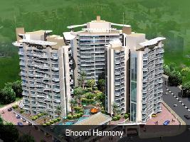 Raj Tulsi Harmony