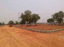 Pushkar Gold Pipla