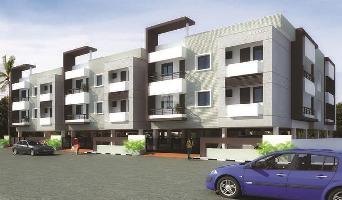 Colorhomes Royal Orchid