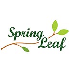 Alekhya Spring Leaf
